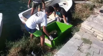 Dalyan Kanalı'nda Yaralı Bulunan Carretta Caretta Telef Oldu