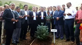 Gevaş'ta 249 Şehit Anısına 249 Fidan Dikildi