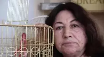 Evladı Gördüğü Papağanı Kayboldu: Getirenin Elini Ayağını Öpeceğim
