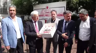 15 Temmuz Demokrasi ve Milli Birlik Günü