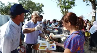 Biga'da Domates Şenliği