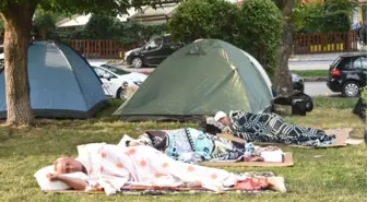 Güreş Sevgisinden Sokakta Yatıyorlar