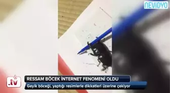 Ressam Böcek İnternet Fenomeni Oldu