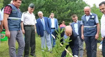 Düzce'de 15 Temmuz Demokrasi Şehitleri Adına Hatıra Ormanı Kuruldu