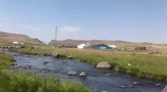 Ağrı'da Göçerlerin Zorlu Yayla Hayatı