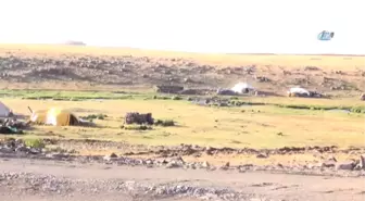 Ağrı'da Göçerlerin Zorlu Yayla Hayatı