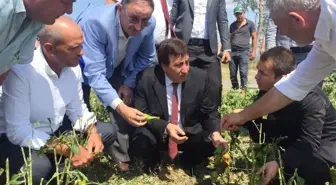 Çiftçinin Zararı En Kısa Sürede Karşılanacak