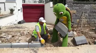 Gebze'nin Maskotu Kaplumbağa 'Terbi' Oldu