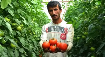 Karatay'ın Domates Açıklamasına Tepki Bitmiyor