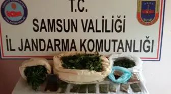 Samsun'da Uyuşturucu Operasyonları