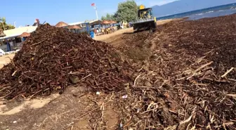 Yağışlardan Sonra Plajlar Temizleniyor