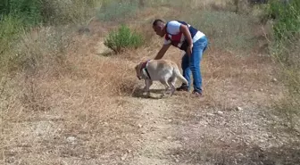 Alman Vatandaşından 1 Haftadır Haber Yok