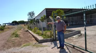 Zeytin Üreticisinin Su Tankerini Çaldılar