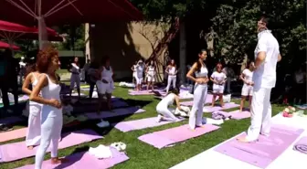 Abant'ta Uluslararası Yoga Festivali