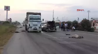 Adana - Otomobil Sürüye Çarptı, Çoban Kaçtı