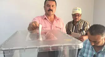 AK Parti'de Delege Seçimi