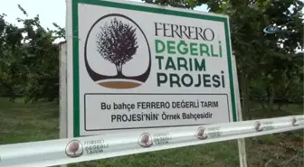 Ferrero Fındık Çiftçileri Bilgilendirmeye Devam Ediyor