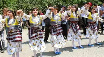 Giresun'da Kuşdili Festivali