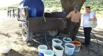 Çallı'da Çoban Ahmet'ten Su Sorununa Tankerli Çözüm