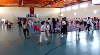 Hassa'da Minikler Karate Turnuvası