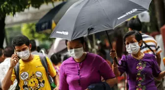 Myanmar'da Domuz Gribi Tehdidi