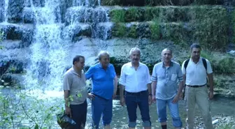 Zonguldak Ormanlarının Gizli Hazineleri Gün Yüzüne Çıkarılıyor