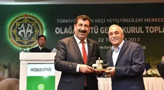 Bakan Fakıbaba Küçükbaş Hayvancılık Sektörünün Sorunlarını Dinledi