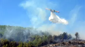 Hatay'da Orman Yangını (2)