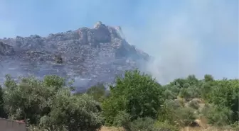 Kozan Kalesi Yakınında Korkutan Yangın