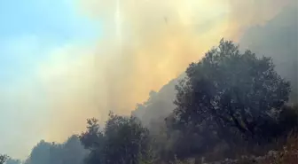 Tarihi Kozan Kalesi'nde Orman Yangını