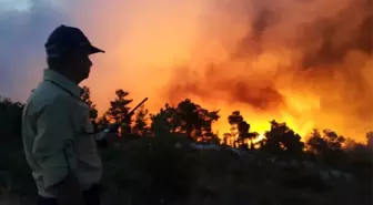 Uşak'ta Bu Yıl Yangınlarda 1,1 Hektar Orman Kül Oldu