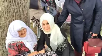 Ak Partili Kadınlar Çalışmalarını Sürdürüyor