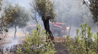 Ormanlık Alanda Başlayan Yangın Tarım Arazilerine Zarar Verdi