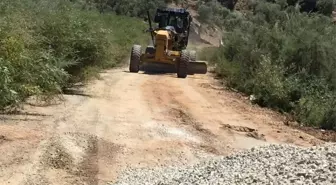 Çerçioğlu, Serçin Mahallesine Altın Yılını Yaşattı