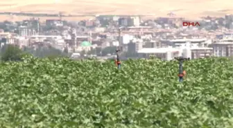 Diyarbakır Bismil Belediyesi'nden Yoksullara, 'Toprak Reformu' Gibi Uygulama