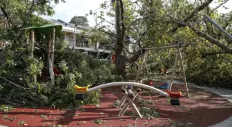 Kadıköy'de Yüzlerce Ağaç Devrildi 