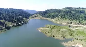 Acelle Yayla Şenlikleri Başladı