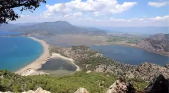 Iztuzu Plajı Gündüz Turistlerin Gece Caretta Carettaların