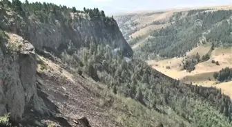 Sarıkamış'taki Örtü Yangını Söndürüldü