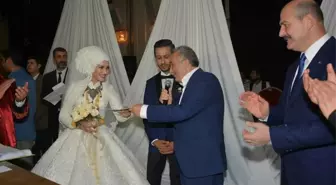 Bakan Soylu ve Fakıbaba, Nikah Şahidi Oldu