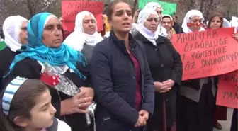 Batman Hdp Batman Milletvekili Başaran, Gözaltına Alındı