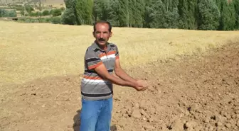 Bu Köyün Toprağı Akrep Kaçırıyor