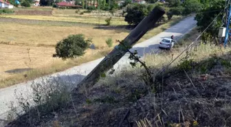 Telefon Kabloları Kopunca Dünyayla İletişimleri Kesildi