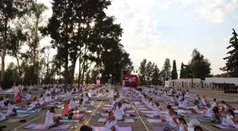 30 Ağustos'ta Yoga ve Dans Festivali!