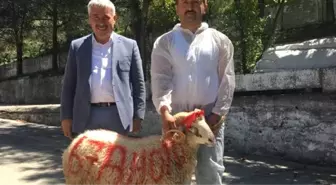 Belediye Başkanı, 500 Bin Liralık Yeni Makam Aracı İçin Kurban Kestirdi