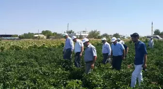 Kahta İlçesinde Tarla Günleri Düzenlendi