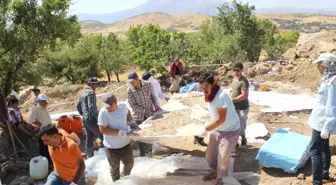 1600 Yıllık Mozaik Yerinden Kaldırıldı