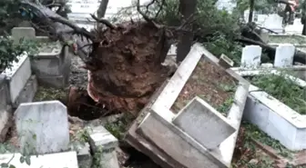 İstanbul Seli: '120 Milyon Tl ' Zarar Verdi!