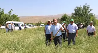 Erzincan'da İlk Kez İtalyan Çimi Alternatif Yem Bitkisi Tarla Günü Düzenlendi