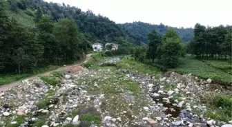 Rize'de Dereler Bu Yıl da Suya Hasret Kaldı